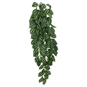 Komodo TwoToned Leaf Hanging Plant 1ea-LG; 26 in